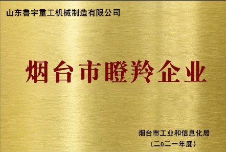 煙臺市瞪羚企業