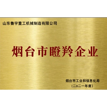 煙臺市瞪羚企業